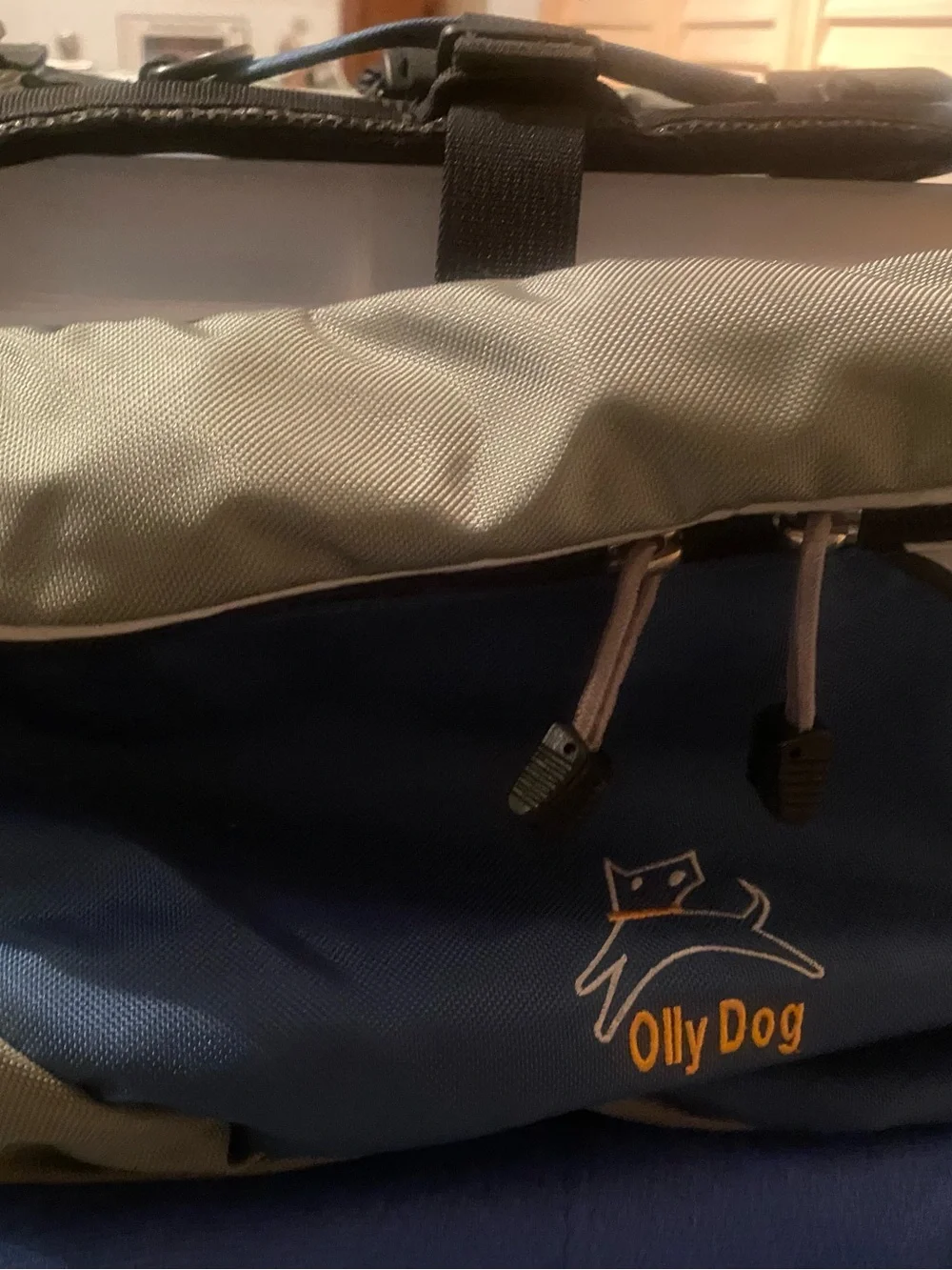Ollie Dog Black Pet Backpack for Hiking